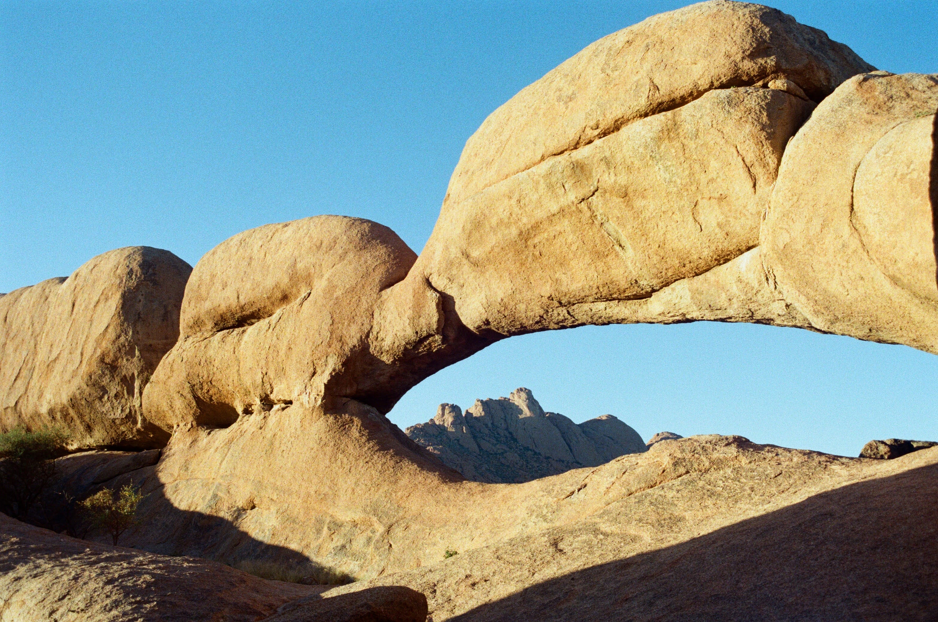 Film photograph